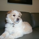 Kathy - @KathyDarby - Twitter