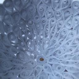 twistedpages's profile picture. Twisted Pages is an artist collaboration between Gemma Tully @GMT_99 and Nicola Broxson @Nicola_Broxson. We specialise in paper manipulation and origami art.