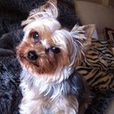 Jose Manuel Llera - @LLERAJM - Twitter