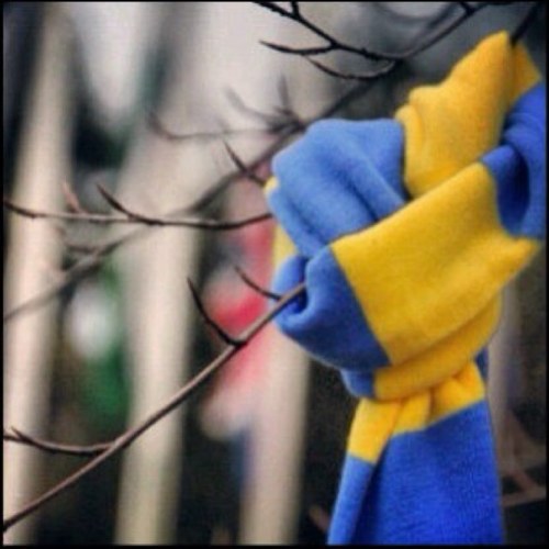 Hno5fog's profile picture. لكل شخص منآآ عآلمـه