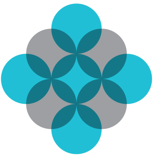 Services spécialisés en développement professionnel et bien-être au travail via une meilleure compréhension de soi et des autres.