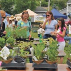 Banner Elk Herb Fest Beherbfest Twitter