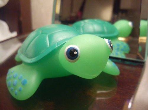 I am Turtleturtleturtle. Timmy for short