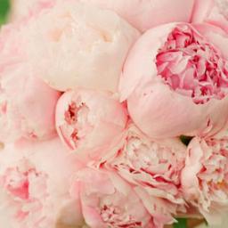 Shop bridal gifts and wedding favors.