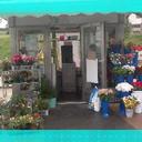 olga alonso fraile - @olgaalonsofrail - Twitter