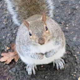 kozuaki's profile picture. 小さい機械モノ大好き。 
デジタルガジェット大好き。 
音楽に世代はないという主義。
No dog,No life.