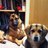 Penny_Mateu's profile image