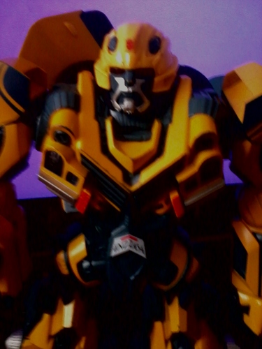hey im bumble bee and im a autobot and win a lot  or a friend can help  us if u want to just follow me