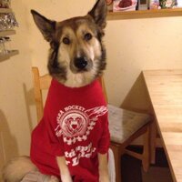 Katarina Häggström (@katarinahggstrm) 's Twitter Profile