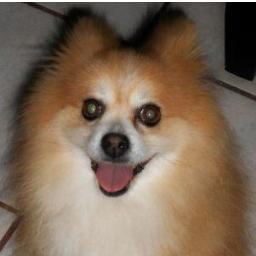 WHATAGUYYY's profile picture. 