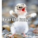 joe guy - @Money_Trixx44 - Twitter