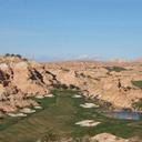 david tee - @davidt91954 - Twitter