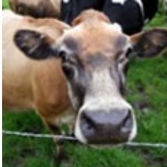 Falshaw's Farm Shop Profile