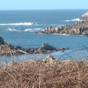 James Betteridge - @winkleighfish - Twitter