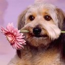 michelle gilman - @mgilman42 - Twitter