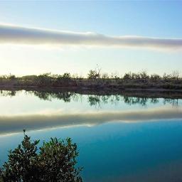 carouc10's profile picture. 