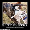 Debbie Underhill - @debbiethty - Twitter