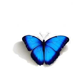 Embryyo's profile picture. Seeding ideas for a healthier planet | Medical technology company specializing in clinical need finding, inventing and commercializing novel medical devices.