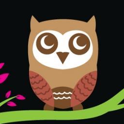 SearchWindowOwl's profile picture. Chief Owl at Search Window. Google AdWords and Bing Ads specialist, all round canny bird of prey. Big fan of voles.