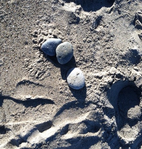 175victories's profile picture. Director of Vision and Innovation . I believe the moments you spend adding value to the mind  of a child are more important than managing a beaurcracy.