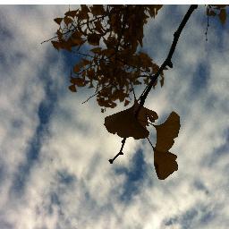 aprilfool_mnr's profile picture. Hydrologist, Academician