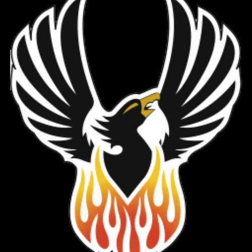 LWNStuCo's profile picture. Your source for all things Lincoln-Way North. Well, maybe not all.