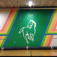 StrongsvilleSoftball (@shs_softball) 's Twitter Profile