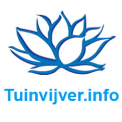 Mijn vijver blog vol met tips, informatie en ideeën die ik deel in de aanloop naar mijn nieuwe #vijver.