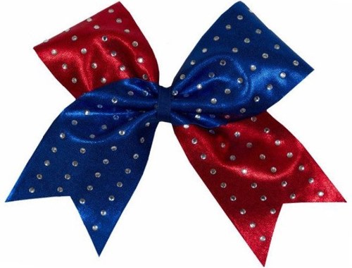 I'm just a girl in love with Cheer!
please follow me! and if you want to email me my email is cheer.lover1@aol.com