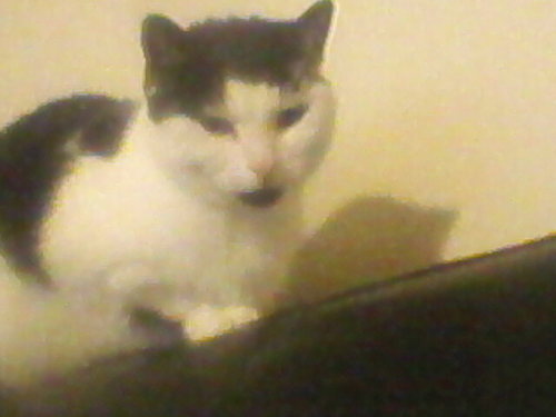 jonno444's profile picture. 