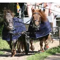 p4dbarchem's profile picture. 