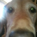 Mike Kaiser - @mrodcman - Twitter