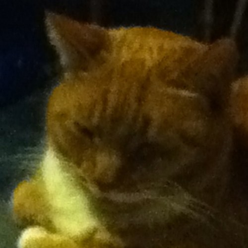 sheilafleen's profile picture. 