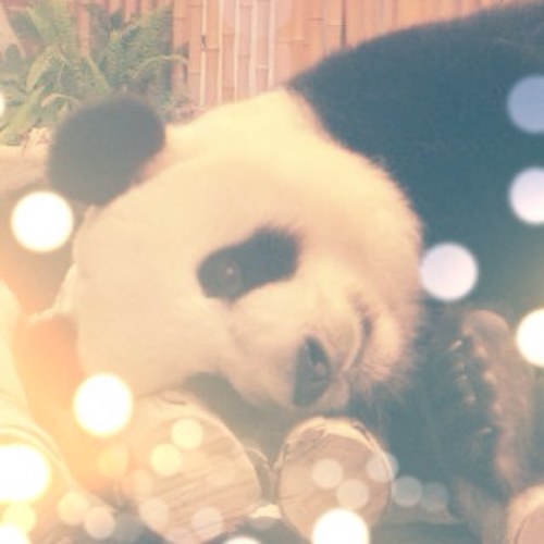 tfbreeder's profile picture. Providing helpful, science-based links relating to birth, parenting, feminism, and skepticism.