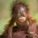 Martina Daniel - @TinaD7319 - Twitter