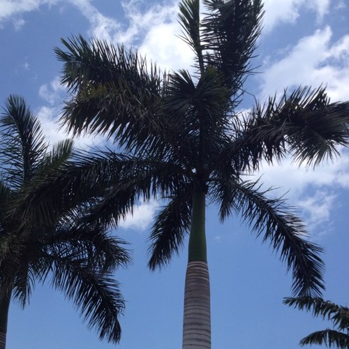 kfee1995's profile picture. 