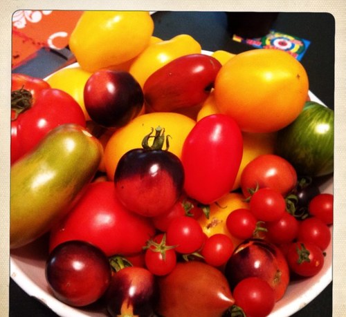 AnnaGoldrich's profile picture. Executive Director, Hoyt Arboretum Friends