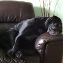 Jo Hickey - @JoHickey2 - Twitter