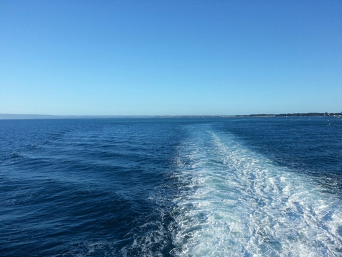 vickyhthomas's profile picture. 