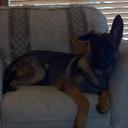 Michael Ocasio - @MDOcasio - Twitter