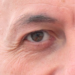 NelluCohn's profile picture. Réalisateur documentaires, compositeur, photographe, directeur de la rédaction de Radio J.