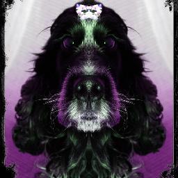 PhotoBooPro Profile Picture