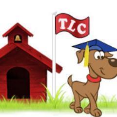 thelearningk9's profile picture. Certified Positive Dog Trainer.  Living my dream and working to help save as many dog's lives as I can through education.