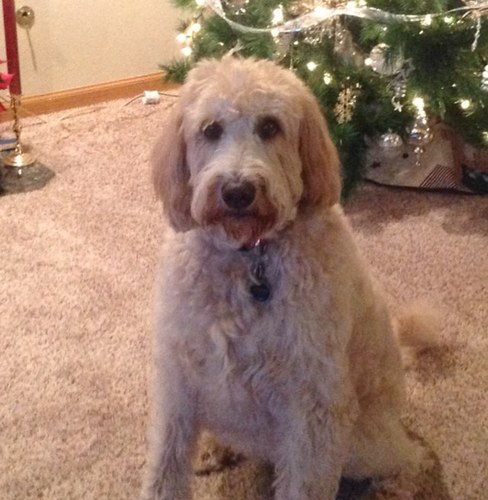 sheben24's profile picture. 