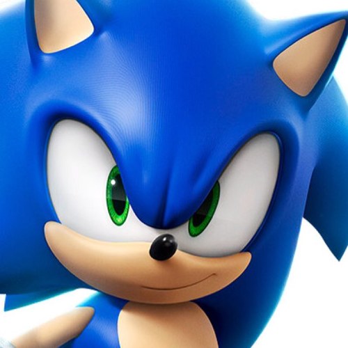 The name's Sonic! Sonic the Hedgehog! I'm the fastest, way-past-coolest dude on two feet! [ RP | 16 ]