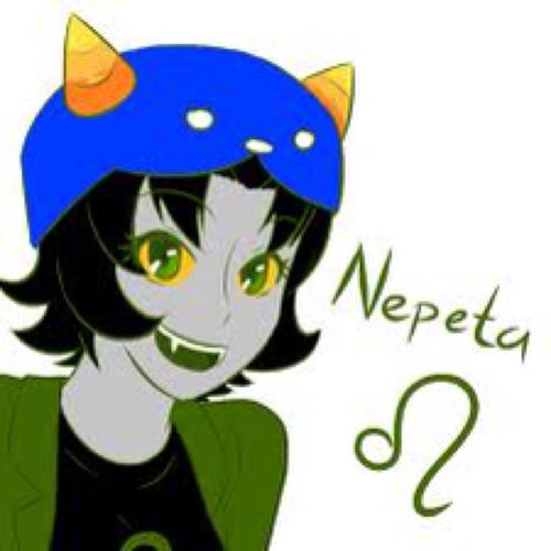 amberkit123 Profile Picture