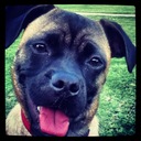 Becky Dow - @BeckyDow1 - Twitter