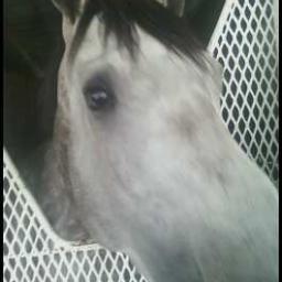 AlexP0526's profile picture. 