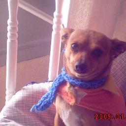 Estudiante de Ciencias Políticas y Admiración Pública. 

Sólo la verdad y la Honestidad pueden
 Cambiar el mundo 🐕🐶🐕