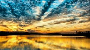 I tweet what I think and how I feel through this crazy journey of life.